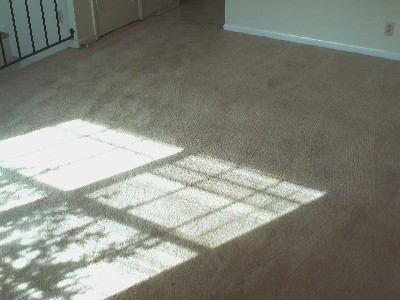 After photo of carpet