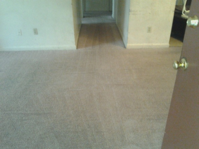 dirty carpet after photo